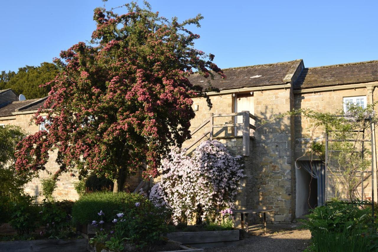 里彭The Coach House At Jervaulx别墅 外观 照片